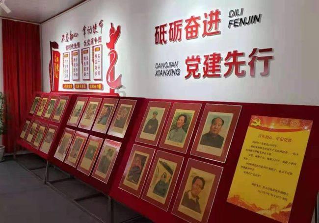 可爱小猫向上跳